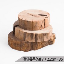 절단유목(M) 7 x 2.2cm(3p) 수족관 나무받침 어항유목, 단품