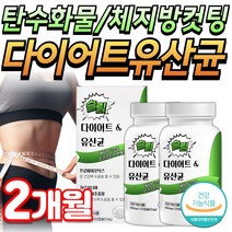 비엔 날씬 다이어트 유산균 bnr17 비에날씬 프롤린 모유 유래 미미, 슬림다이어트유산균, 2개, 120정