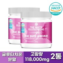 글루타치온 고함량 200g 분말 파우더 가루 + 인생도담 물통 사은품 증정, 2통