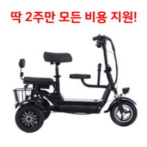 접이식 세발 전기 자전거 삼륜 2인용 노인 펫바이크 배달용 전동 스쿠터 48V, 블랙 8A 3인승