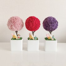 천연 이끼 키우기 그늘에서 잘 자라는 관리쉬운 공기청정 집에서 키우기 쉬운 음지 식물, 애플그린