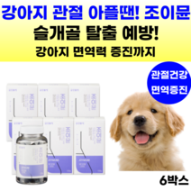 강아지 영양제 관절 조인트 슬개골탈구 애견 강아지 면역 관절영양제 글루코사민 콘드로이친 관절건강 반려견 노견 슬개골 강아지관절영양제 보스웰리아 초록잎홍합 MSM 칼슘 사은품 증정, 뼈/관절강화, 6통, 연어맛