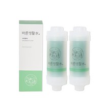 바른생활수 녹물 염소 제거 비타민 샤워필터, 피톤치드 x 2개