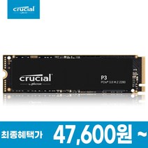 마이크론 Crucial P3 아스크텍 (1TB)