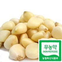 국산 친환경 인증 무농약 깐마늘 요리용 급식납품, 500g