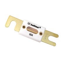 ANL 휴즈 세라믹 고용량 고온 내열 퓨즈 12v 24v 차량 캠핑카 자동차 fuse, 세라믹휴즈 100A(실용량200A)