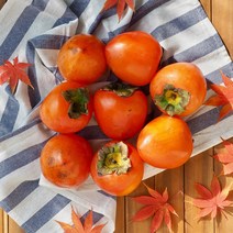 당도보장 달콤한 영암 대봉감 2kg(8-12과) / 소과 / 곶감용