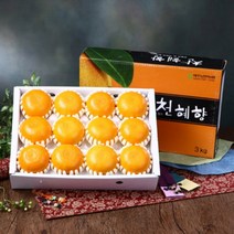 [명절선물] 천혜향 선물세트 설 명절 구정 선물 3KG, 1호