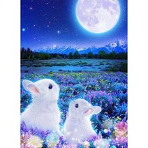 더라이트 DIY 보석십자수 달빛아래 토끼 3D 원형비즈 인테리어 2020051935 구슬/비즈 키트, 40*50cm