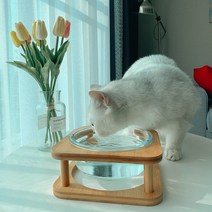 강아지 고양이 수반 음수대 밥그릇 물그릇 정수기 강화 유리 식기 식탁, 소