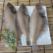 우체국쇼핑 반건조 참가자미 27cm 내외 / 110g 3마리