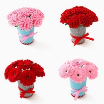 브랜드없음 99 민화샵 펠트 화분 카네이션만들기 어버이날 선물, 01.둥근잎핑크