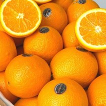 과일 퓨어스펙 수입과일 고당도 블랙라벨 오렌지 20과 소과 오렌지 블랙라벨 퓨어스펙