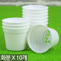 플라스틱 화분 화이트 10개 - 미니 원형 플라스틱화분 어린이집 유치원 아이 식목일 행사 플분 포트 식물 다육 다육이 선인장 모종 삽목 육묘 분갈이 저가 싼 화이트 흰색