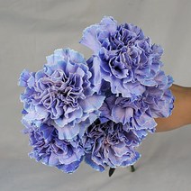 앤드플라워 고급화병포함 생화택배 꽃정기구독 꽃정기배송 꽃배달싼곳 꽃다발 화훼농가돕기 꽃화병 생일꽃다발 꽃배달, 17. 유스커스 1단