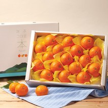 깨비농원 제주 카라향 선물세트 2.5kg, 카라향 선물세트 2.5kg 로얄과(15-20과)