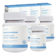 프로테오글리칸 프리테오글리칸 연어코 연골 추출물 600mg, 4통, 60정
