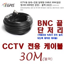 HD-SDI 카메라(이지피스 EGPIS-HDB2124NIR(6mm) 외 추가상품, 동축전원 케이블-30미터