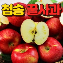 청송 꿀 부사 사과 3kg 5kg 10kg 정품, 꿀사과10kg, 1개
