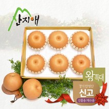 [산지애] 왕특대 배 4.7kg, 단품