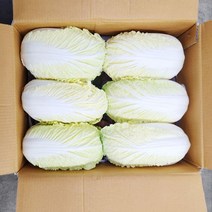 알배추 1통
