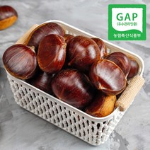 [GAP인증] 산지직송 충남 공주 정안 알밤 2kg특, 없음, 1개