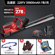 독일 해지트리머 충전식 전정기 양날정전기, 228TV 39800mAh 1배터리개