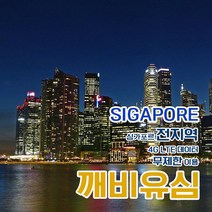 깨비유심 깨비유심 V-tech 싱가포르 4G LTE 무제한 (3050260), 인천공항 T2 수령, 싱가포르 4G LTE 무제한 1일 당