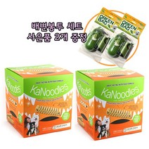 [배변봉투 증정]카누들 필로팩 껌 S 100개입, 2box