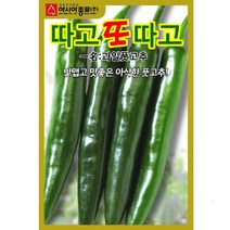 고추 씨앗 - 씨앗파는곳