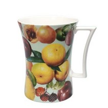 본차이나 오렌지 빅 머그잔 1개 500ml 커피 물컵 녹차, 쿠팡 본상품선택, 상세페이지 참조