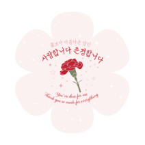 박시스트 카네이션 꽃모양 카드 9.5x10cm, 100개