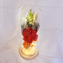어버이날 카네이션 프리저브드 유리돔 led 유리돔 향기나는 프리저브드 플라워 집들이 생일선물 신혼부부 선물 프리저브드 생화 신혼집 인테리어, 유리돔대, 레드