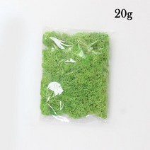공기정화이끼20g 시뮬레이션 식물 영원한 생활 이끼/정원 홈 장식 벽 DIY 꽃 재료 미니 정원 마이크로 조경, 02 B_02 20 g