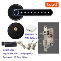 Tuya Smartlife APP Bluetooth 호환 원격 제어 Smart Fingerprint Biometrics 실내 목재 금속 도어 용 잠금 장치, C6 유어스 키트 D