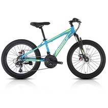 TK 기계식 21단 초등학생 MTB 자전거, 블루, 95%조립시