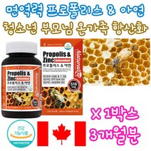 부모님 프로폴리스 아연 propolis zinc 항산화 면역력 네추럴라이즈 노년 실버 시니어 어르신 성인 직장인 퇴사 이직 선물 건강 유지 관리 에좋은 높이는 방법 영양제