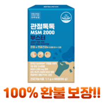 하루보람 관절톡톡 옵티 MSM 2000 무릎 관절 연골 영양제, 60정, 1개