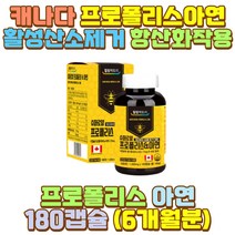 캐나다프로폴리스 프로폴리스아연 산화아연 외할머니 피곤 과로 피로 야근 야간 새벽 밤샘 공부 작업 근무 술자리 과음 음주 회식 퇴근 출근 장 시간 거리 대리 화물차 버스 택배 택시 운전 기사 서서 일 하는사람