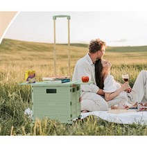 접이식 쇼핑 카트 핸드 손수레 마트 식료품 캐리어, 상세 페이지 참고, 블루