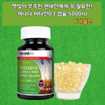 비타민D D3 캡슐 캡슐형 뼈 건강에 도움을 주는 흡수율 좋은 국민 대용량 야간 교대 근무 햇빛 햇볕 태양 광합성 영양제 주부 노년기 장년층 중년층 직장인