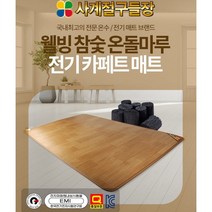 사계절구들장 전기 카페트 매트 6종 온열매트, 싱글/소형(90x183cm)