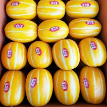 성주 꿀 참외 정품 프리미엄 5kg 로얄사이즈, 정품 5kg 로얄사이즈