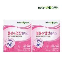 철분제 엽산제 120캡슐 약4개월분 헴철 임산부 영양제 임신 초기 준비 암웨이