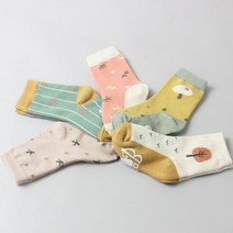 [노디자인] C02트리 중목 5켤레 세트 유아양말 아동양말
