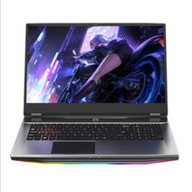 Intel i5-9400F GTX1050Ti 32G 64G 1TB 17.3inch 게임용 노트북 데스크탑 성능 지원 Intel 6789 세대 프로세서 컴퓨터, 우리를, 인텔 i5-9400F, i5-9400F 32G-1TB