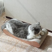 가또 우디 빅뱅갈 고양이 스크래쳐, 혼합색상, 1개