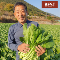 생갓 여수돌산갓 청갓 산지직송 5kg 10kg, 여수돌산갓(10kg)