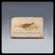 (ART)물고기화석(Bony Fish 와이오밍 전시용화석)/KSIC-5527