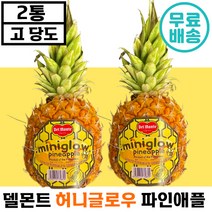 [ 빠른배송 ] 델몬트 허니글로우 파인애플 1.6kg 낱개 2통 프리미엄 고 당도 높은 달달 맛있는 생 과일 간식 도시락 추천 후기 인증 상태 좋은 파인 에플 댈몬트 선물, 3박스, 낱개 2통(통당1.6kg)